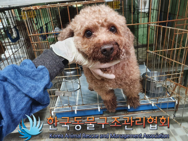 한국동물구조관리협회_411310202300378
